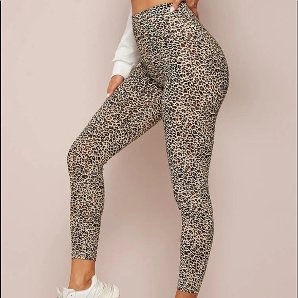 Pants - Leopard Print high rise leggings black & b…